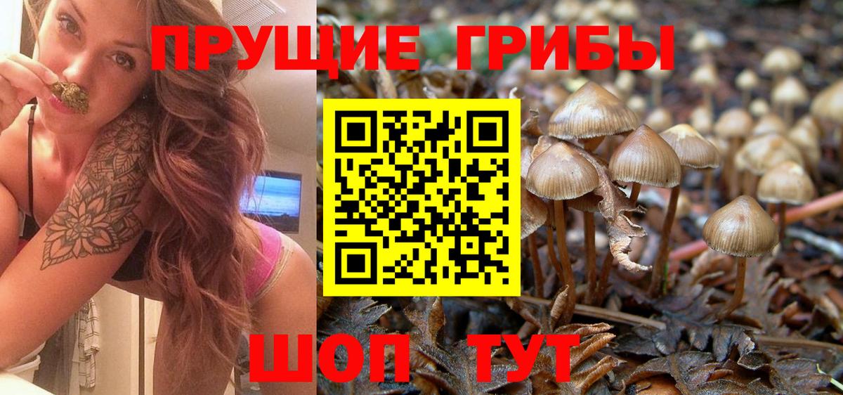 Ессентуки  Псилоцибиновые грибы GOLDEN TEACHER  Вход с VPN 